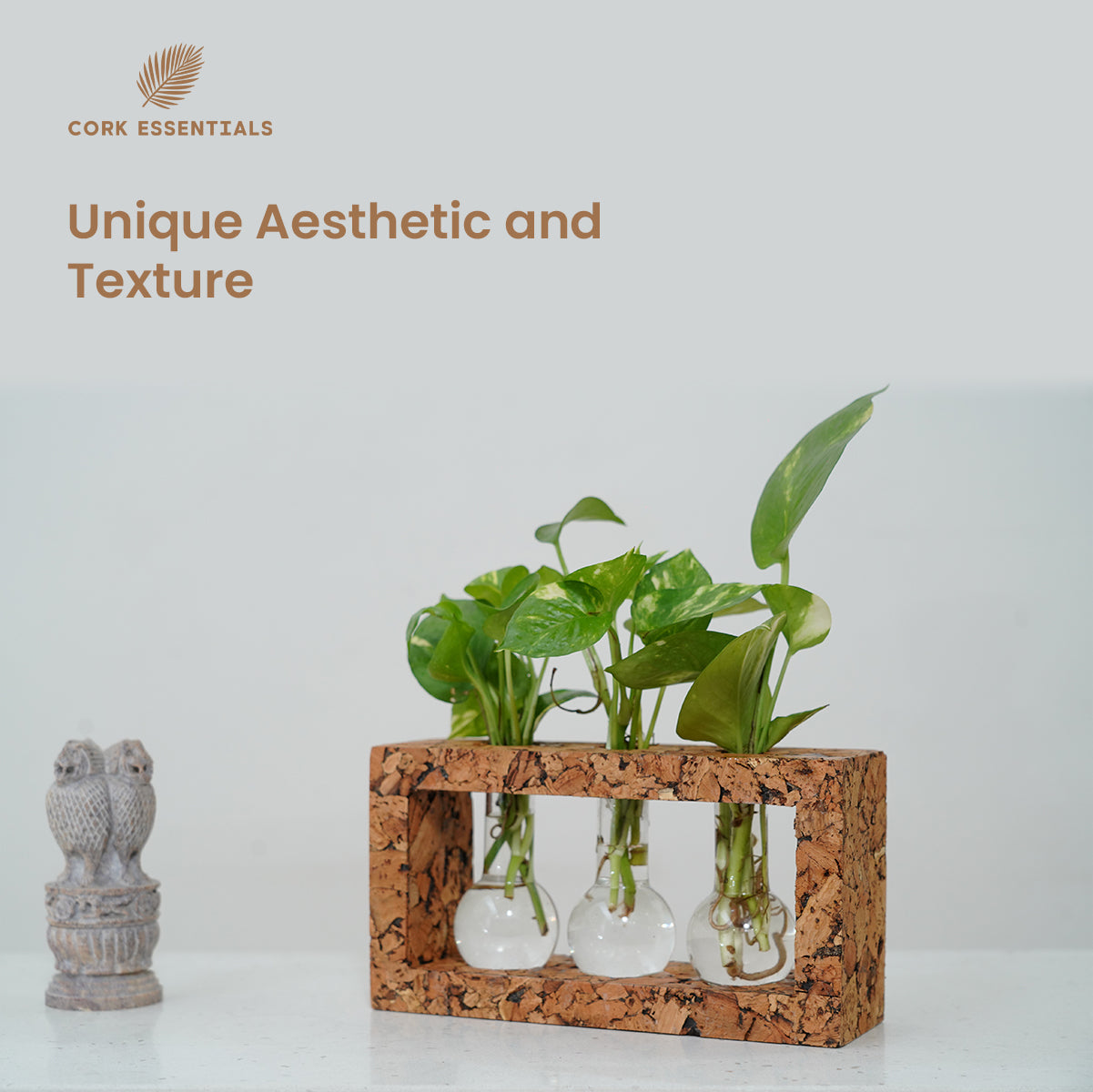 Cork plant holder with green plants on a white background, featuring Cork Essentials branding.
