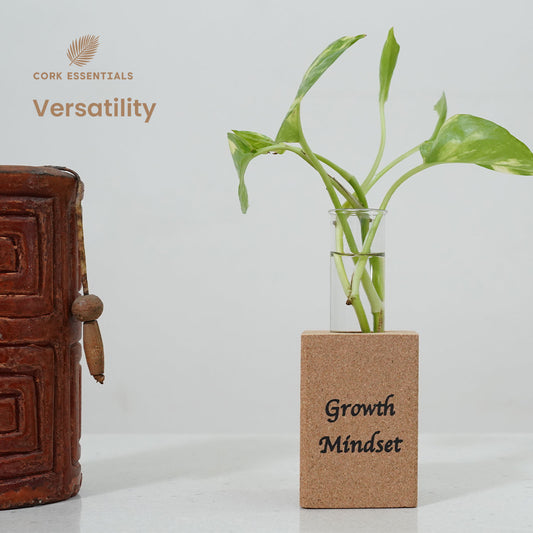 Small plant in a glass vase with a wooden base labeled 'Growth Mindset' on a white background