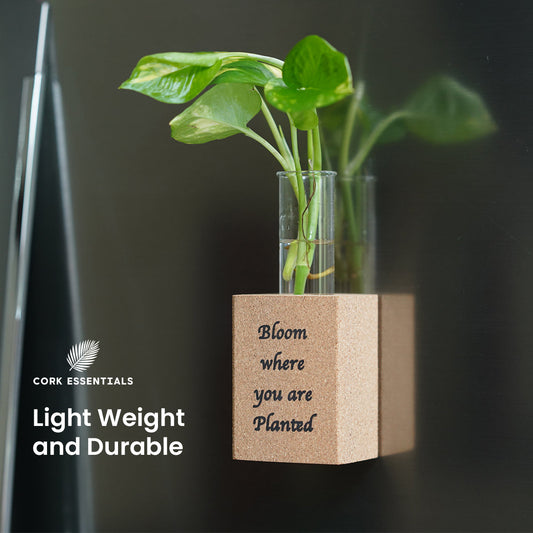 Small potted plant in a clear vase with a wooden base on a white background