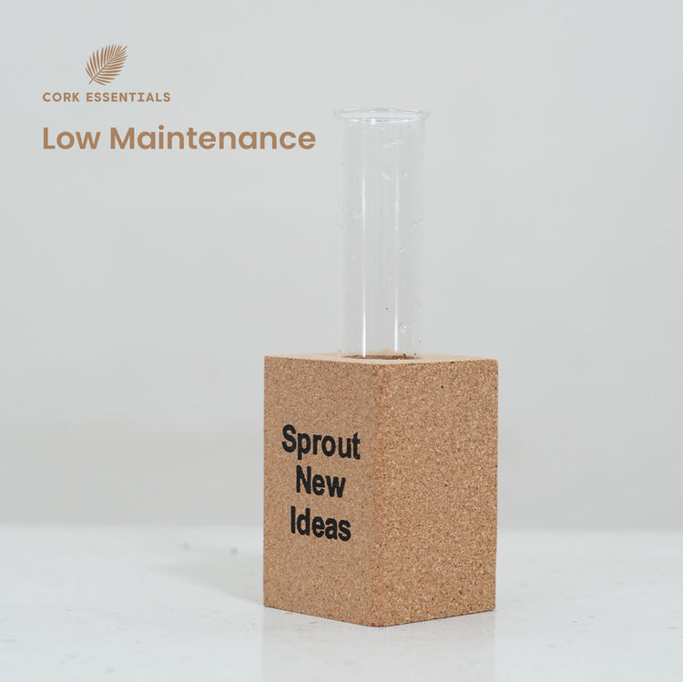 Fridge Magnet Planter Sprout New Ideas With Test Tube