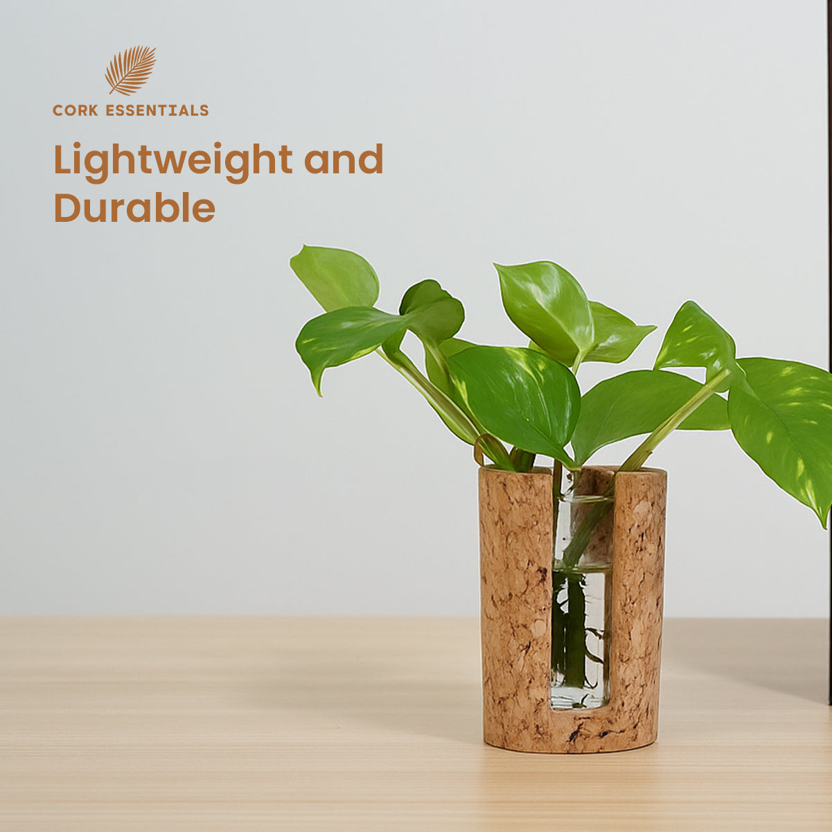 Cork vase with green plant on a light surface, featuring Cork Essentials branding.