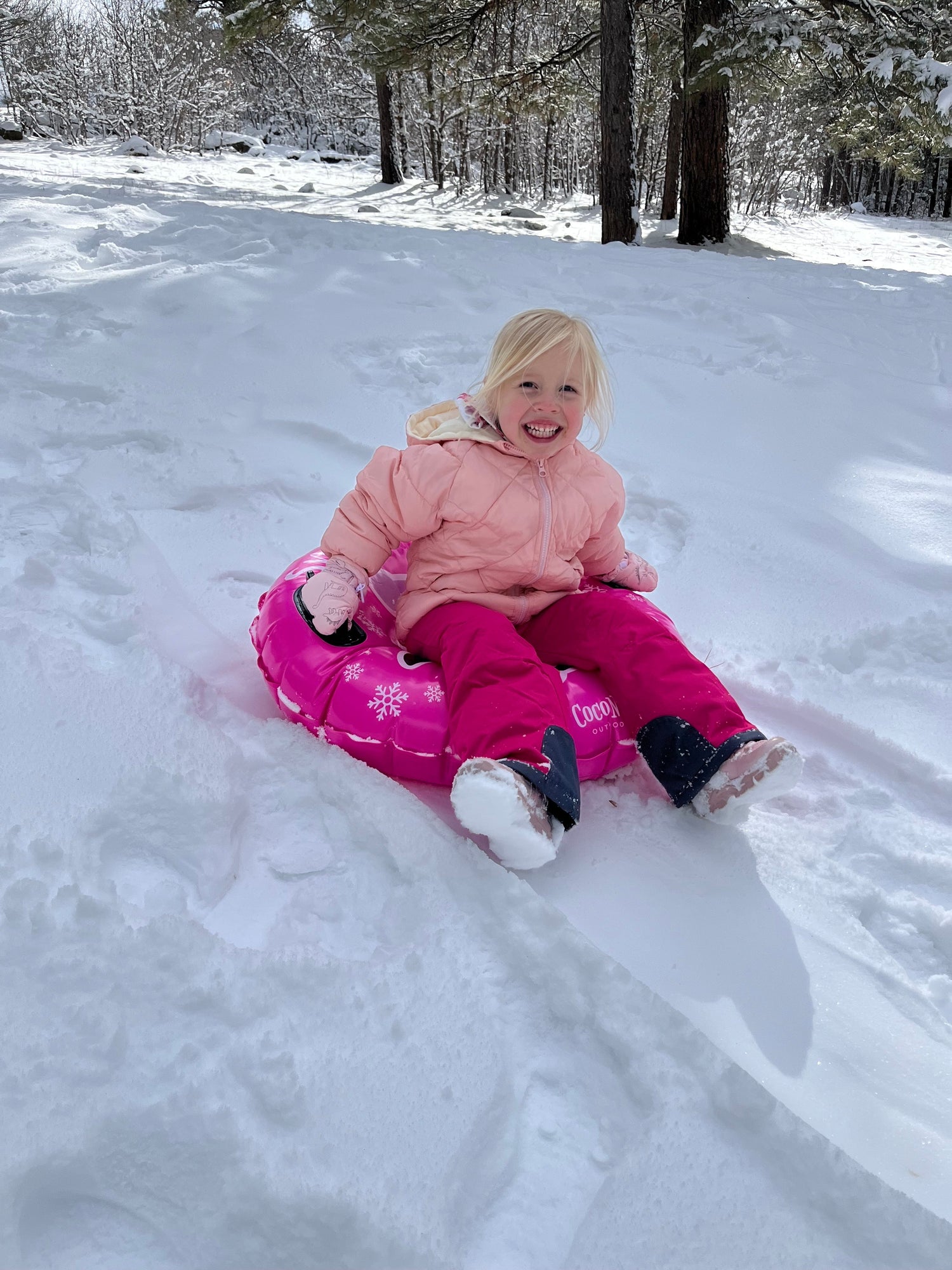 Child in pink snowsuit sitting on a sled in a snowy forest