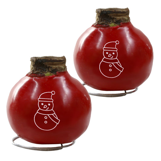 2-Piece Red Waxed Amaryllis w/Snowman Stencil
