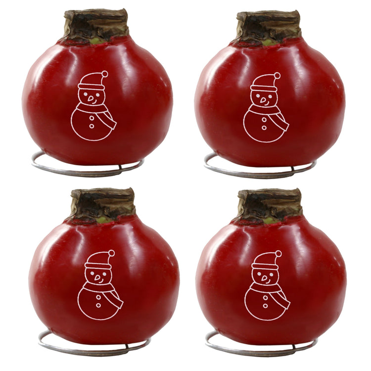 4-Piece Red Waxed Amaryllis w/Snowman Stencil