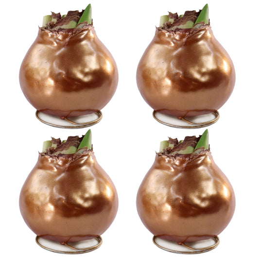 4-Piece Metallic Bronze Waxed Amaryllis
