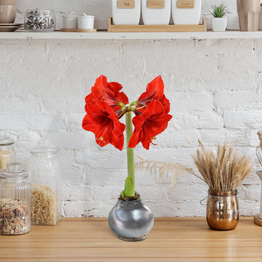 Decorative setup with a metallic deer sculpture, red flowers in a vase, and small objects on a teal surface.