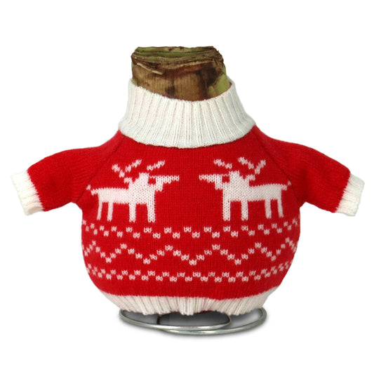 1-Piece Waxed Amaryllis w/Reindeer Sweater