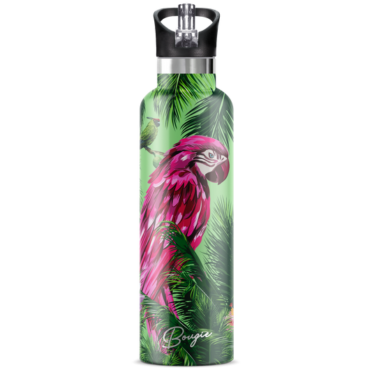 Macaw | 25oz. Insulated Water Bottle - My Bougie Bottle