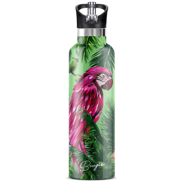Macaw | 25oz. Insulated Water Bottle - My Bougie Bottle