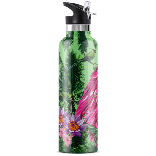 Macaw | 25oz. Insulated Water Bottle - My Bougie Bottle