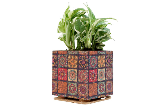 Mandala Print Planter