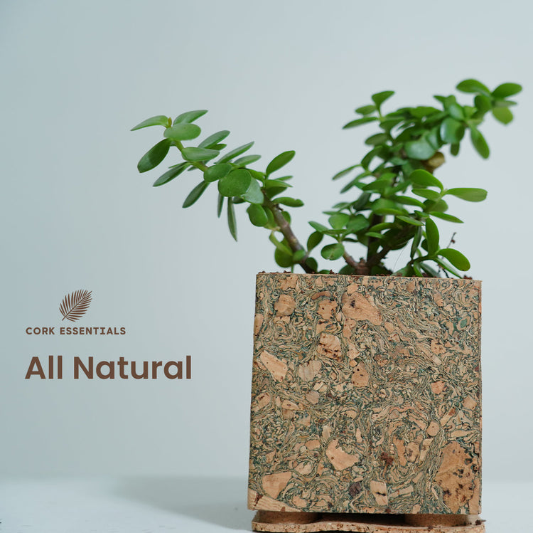 Cork planter with a plant on a light gray background, featuring the Cork Essentials brand.