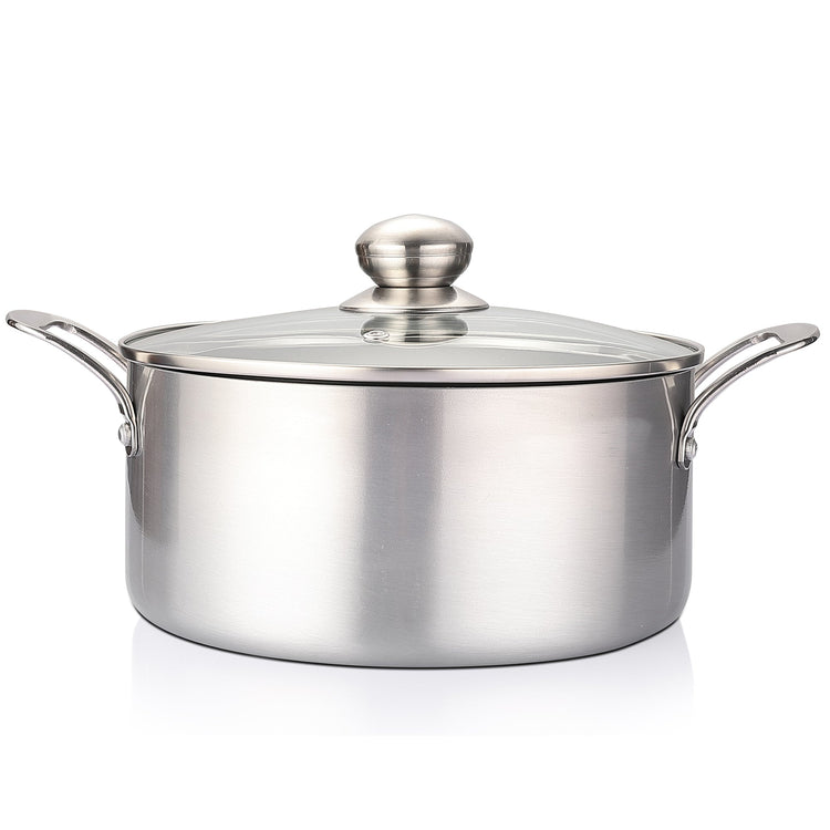 Stainless steel pot with lid on a white background