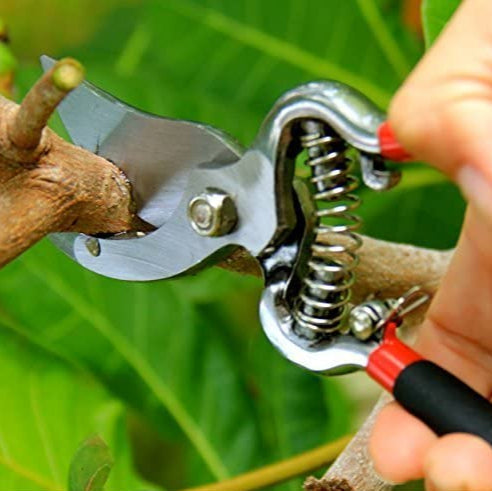 Garden Pruning Kit