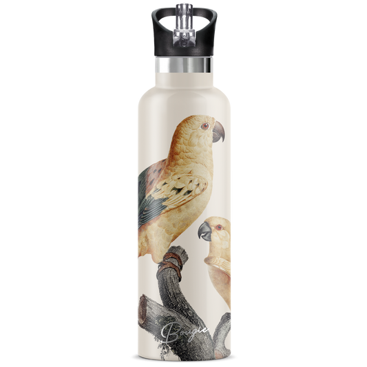 Perico | 25oz. Insulated Water Bottle - My Bougie Bottle