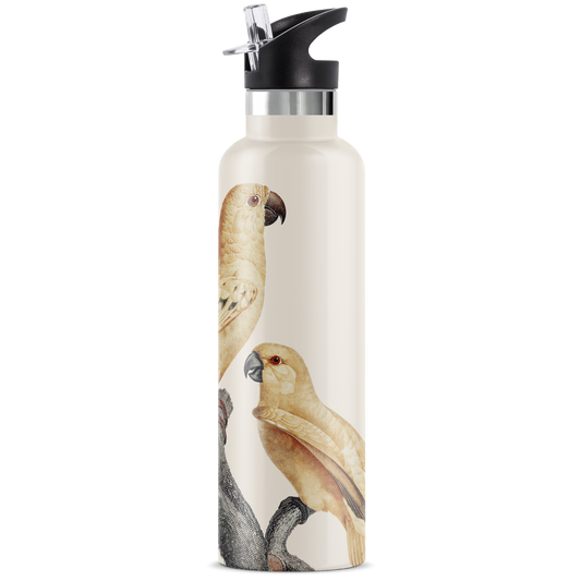 Perico | 25oz. Insulated Water Bottle - My Bougie Bottle