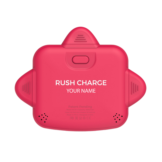 Personalized RC Universe 3-in-1 Charger
