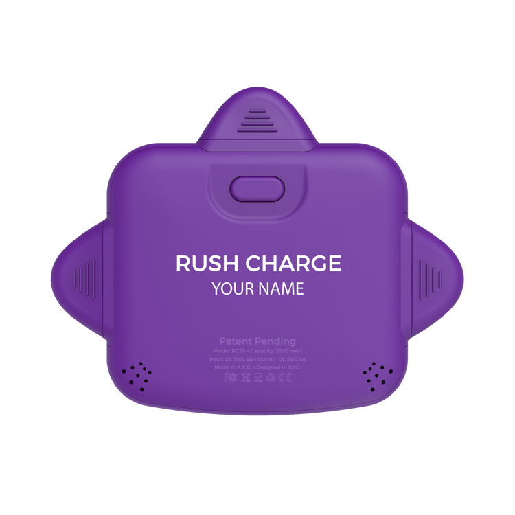 Personalized RC Universe 3-in-1 Charger