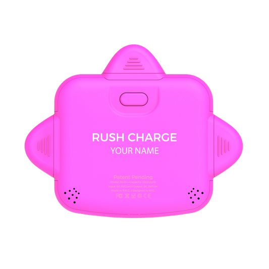 Personalized RC Universe 3-in-1 Charger