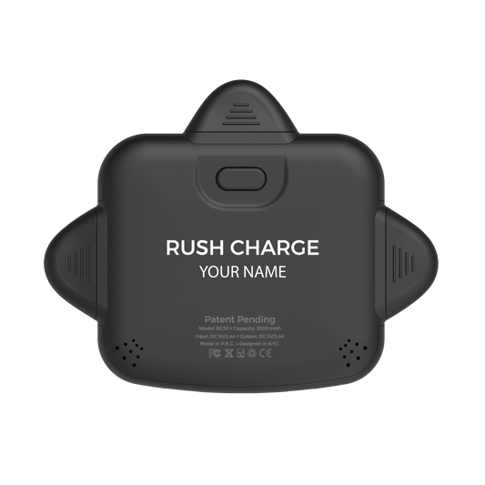 Personalized RC Universe 3-in-1 Charger