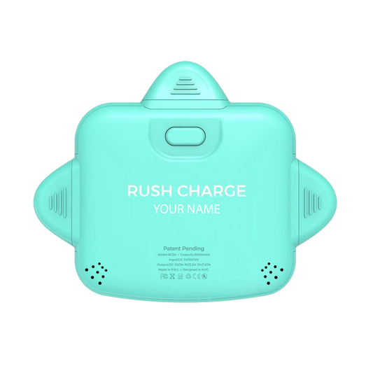 Personalized RC Universe 3-in-1 Charger