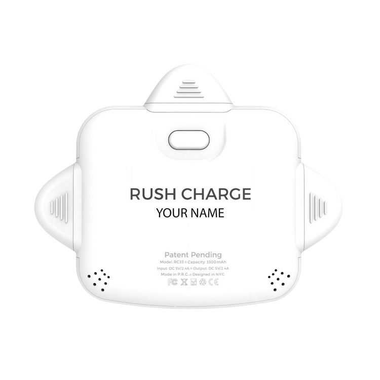 Personalized RC Universe 3-in-1 Charger