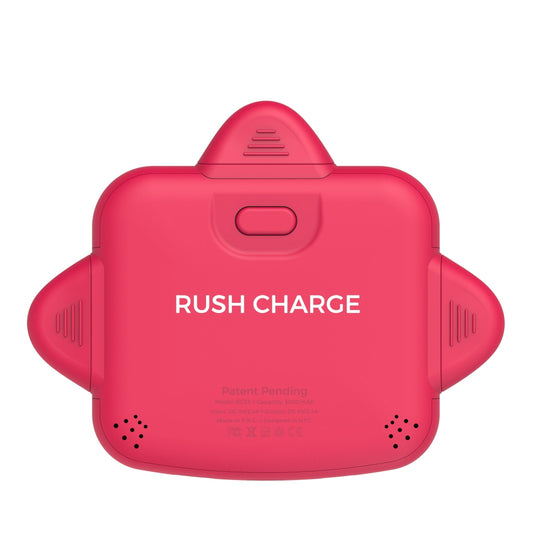 RC Universe 3-in-1 Charger