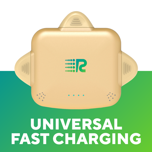 RC Universe 3-in-1 Charger