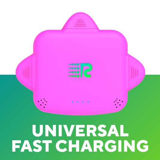RC Universe 3-in-1 Charger