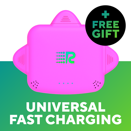 RC Universe 3-in-1 Charger