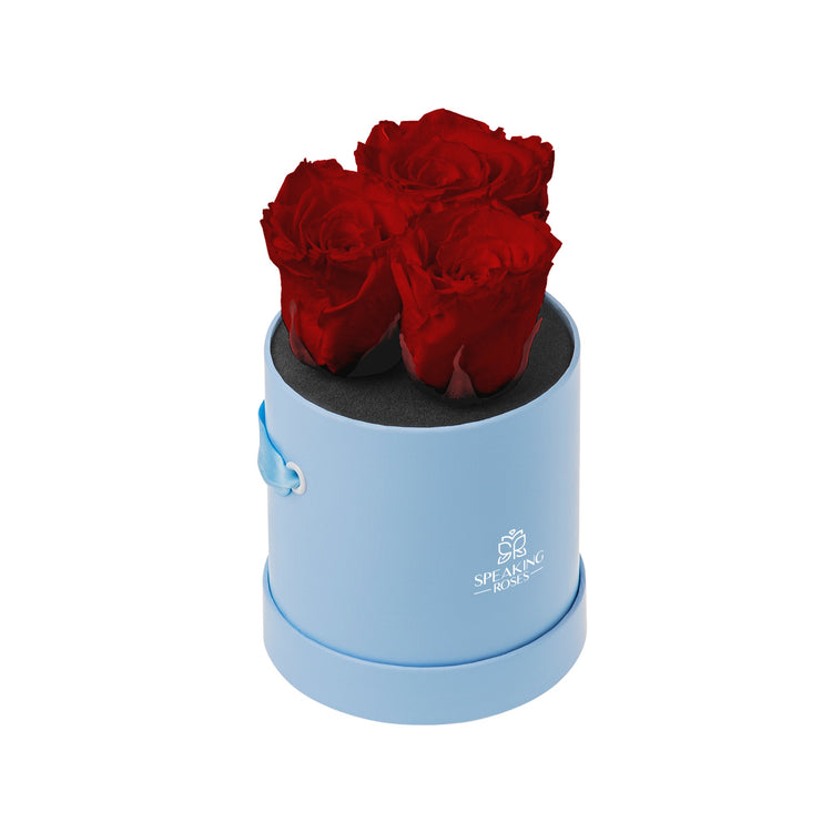 Blue cylindrical box with red roses on a white background