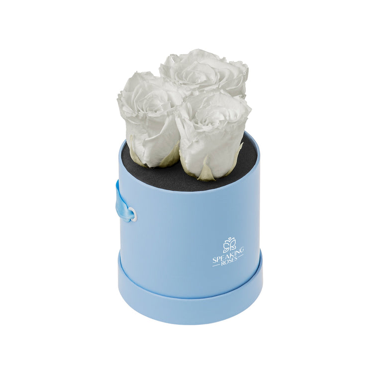 Light blue round box with white roses on a white background
