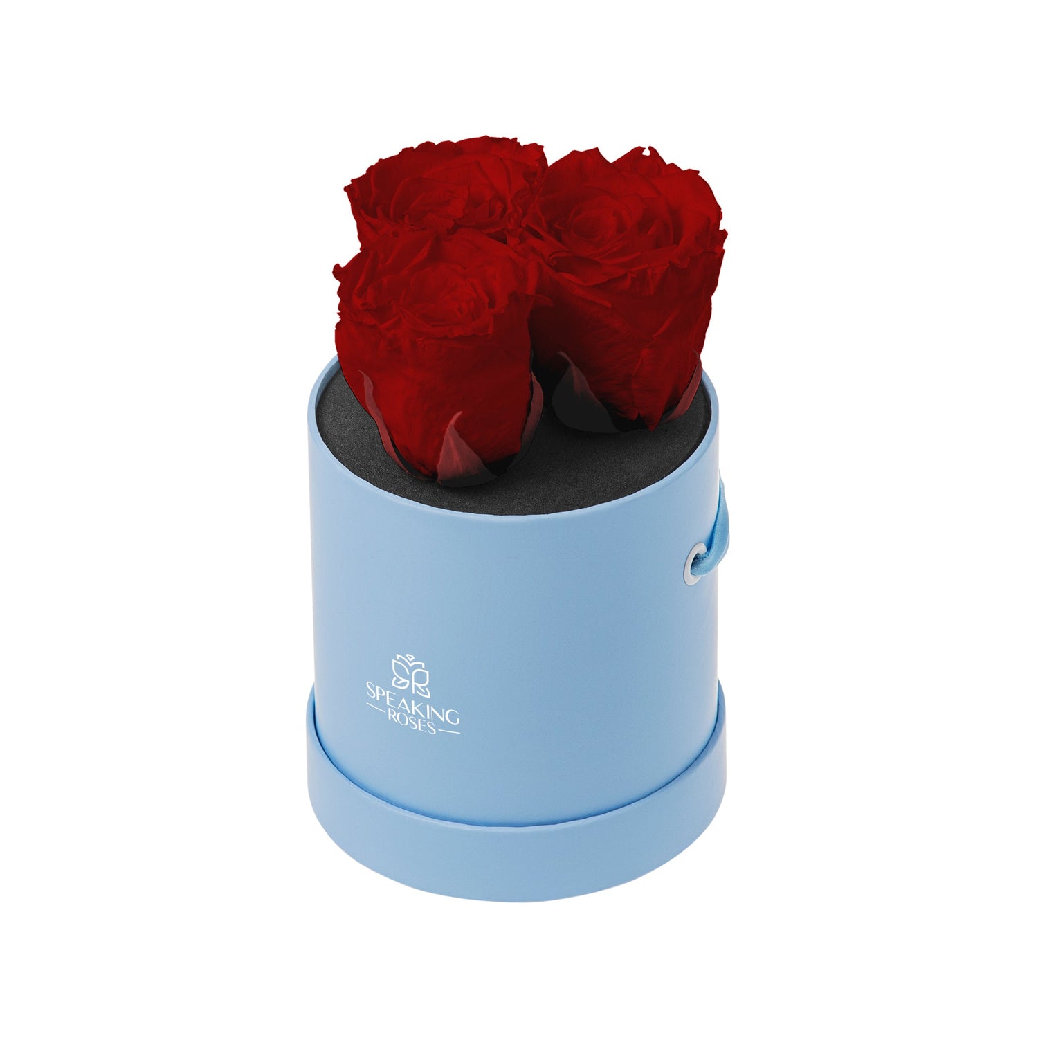 Blue cylindrical container with red roses on a white background