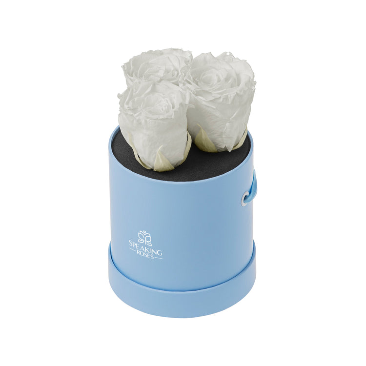 Blue cylindrical container with white roses on a white background