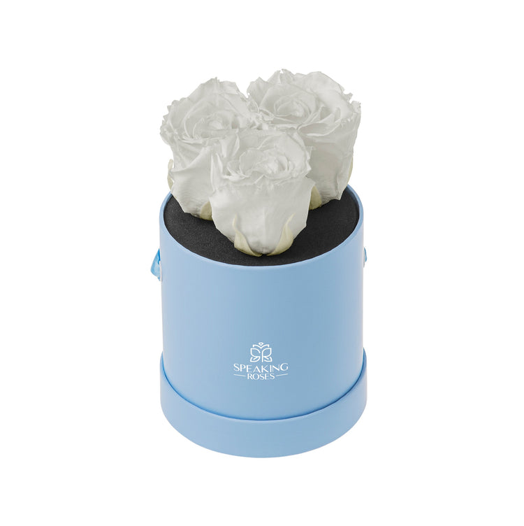 Light blue round box with white roses on a white background
