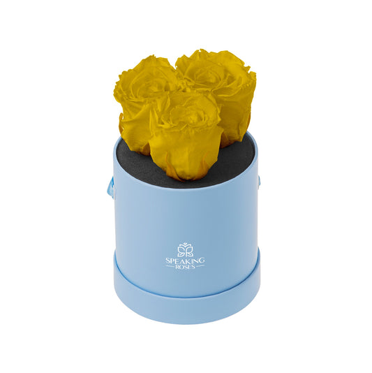 Yellow roses in a blue cylindrical box with a brand logo on a white background
