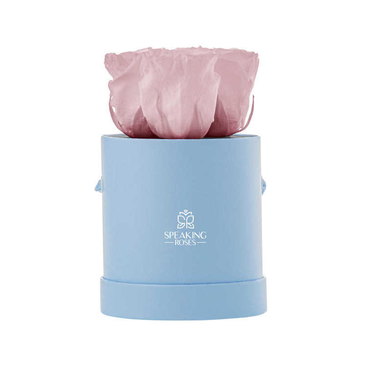 Light blue cylindrical container with a pink rose inside on a white background, featuring 'Speaking Roses' logo.