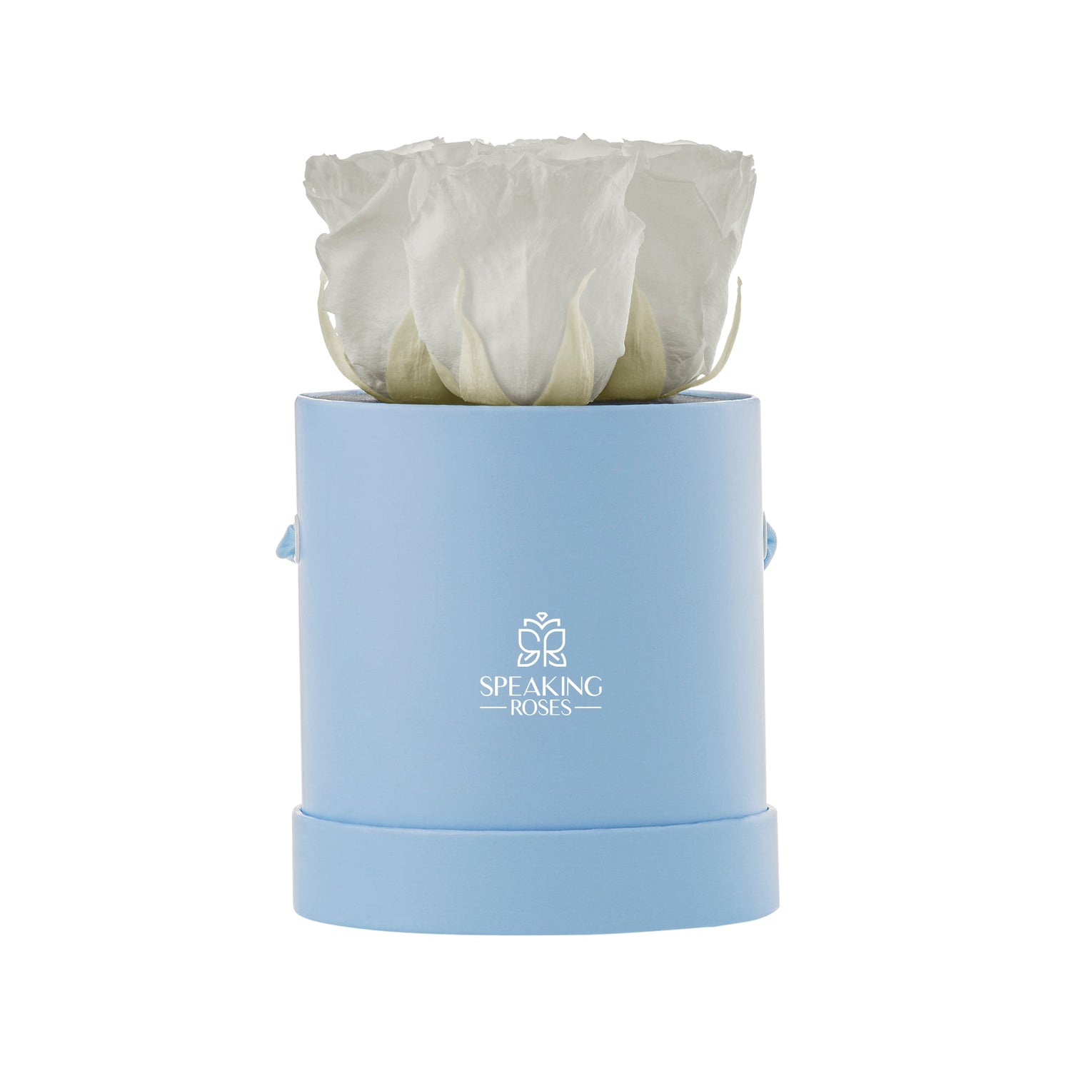 Light blue cylindrical container with a white rose inside on a white background, featuring 'Speaking Roses' logo.