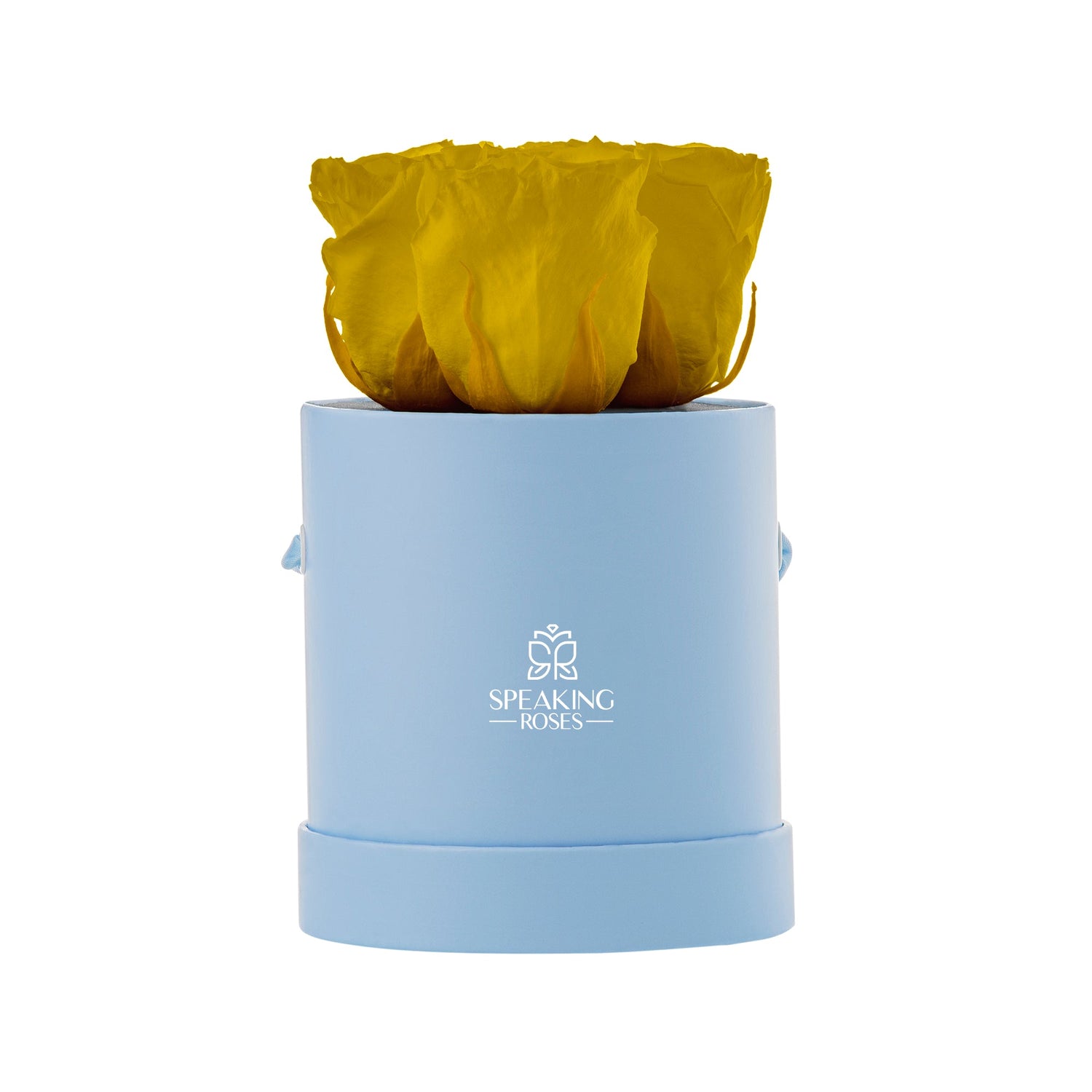 Yellow flower in a blue cylindrical container with 'Speaking Roses' logo on a white background