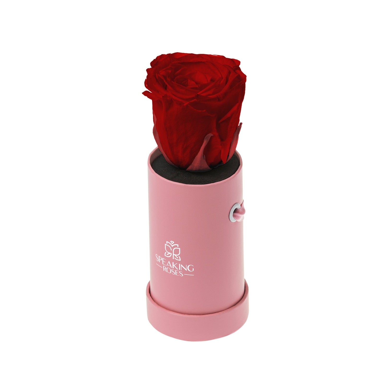 Red rose in a pink cylindrical container with a brand logo on a white background