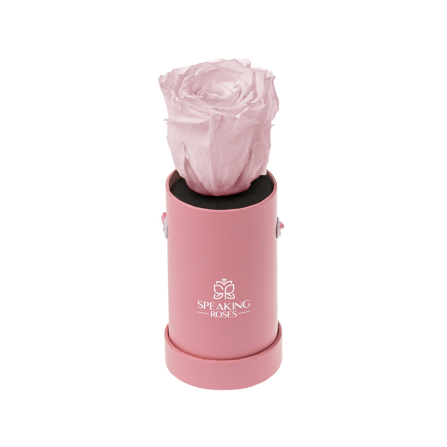 Pink rose in a pink container with 'Speaking Roses' logo on a white background