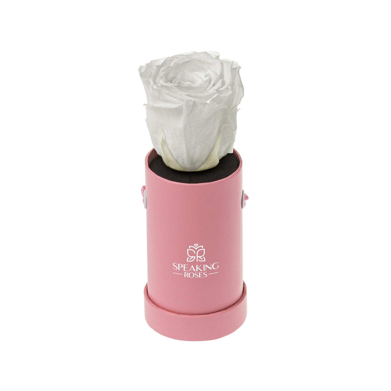 White rose in a pink container with 'Speaking Roses' logo on a white background