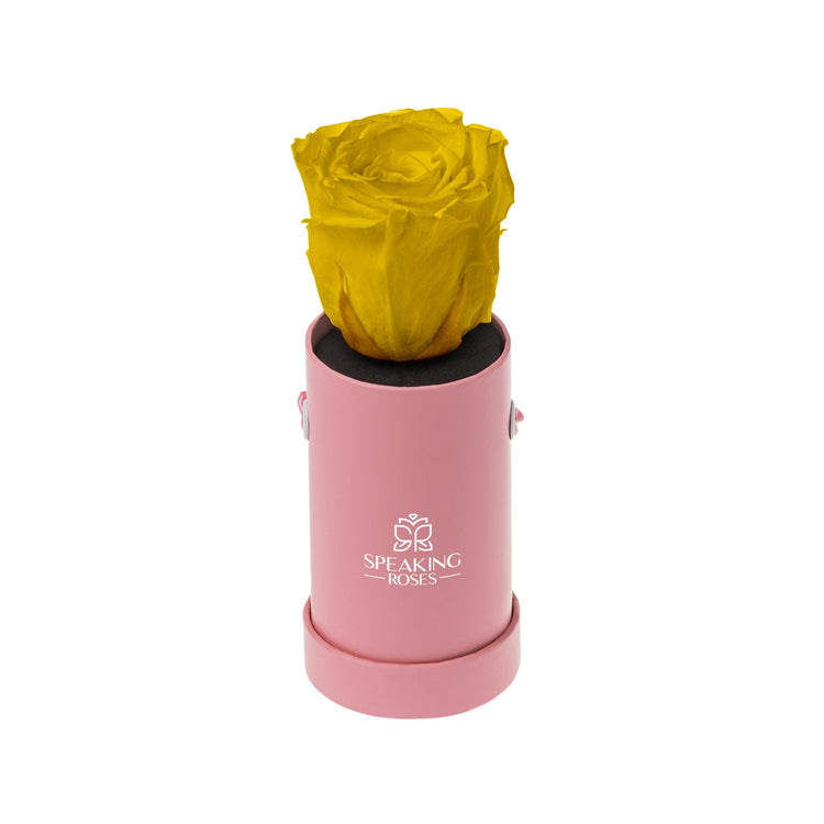 Yellow rose in a pink container with 'Speaking Roses' logo on a white background