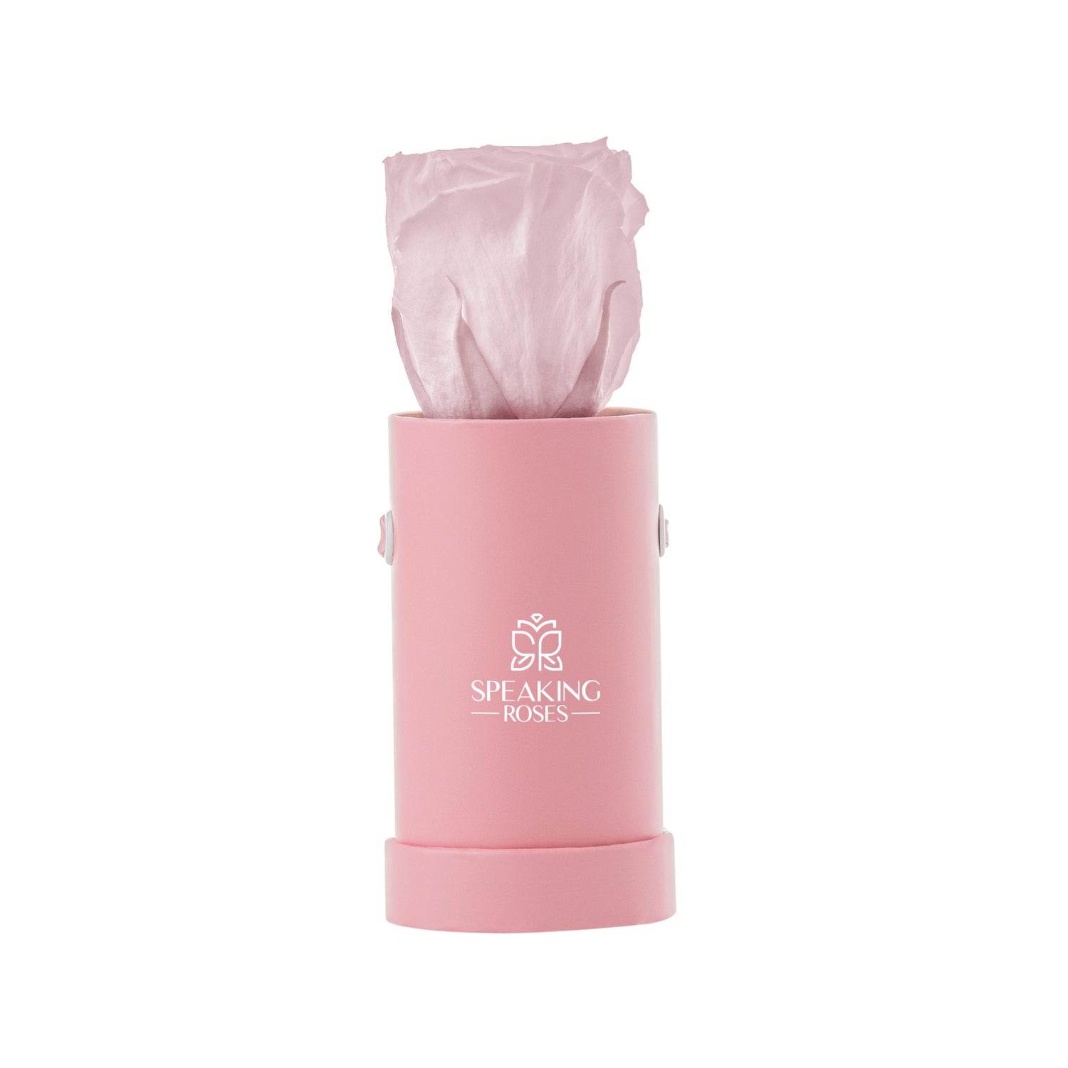 Pink cylindrical container with a rose inside on a white background, featuring the 'Speaking Roses' logo.
