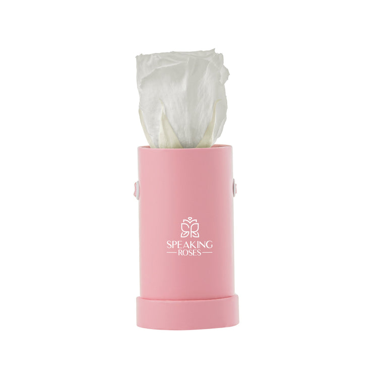 White rose in a pink cylindrical container with 'Speaking Roses' logo on a white background