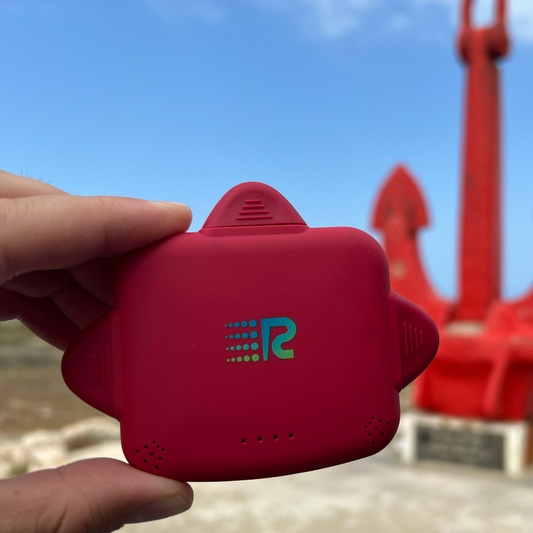 RC Universe 3-in-1 Charger