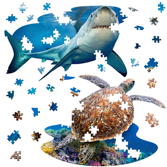 OCEAN LOVERS BUNDLE: I AM LiL' SHARK 100 & I AM LiL' SEA TURTLE