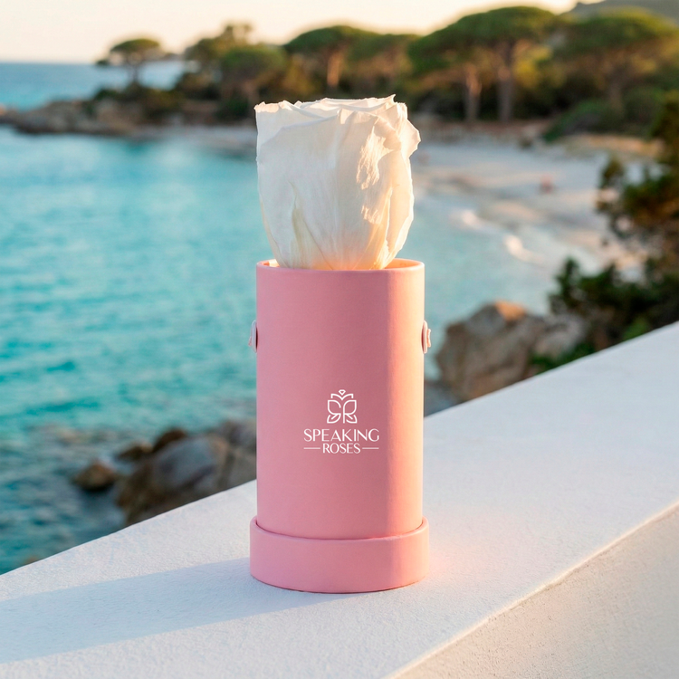 Pink container with a white rose against a scenic background