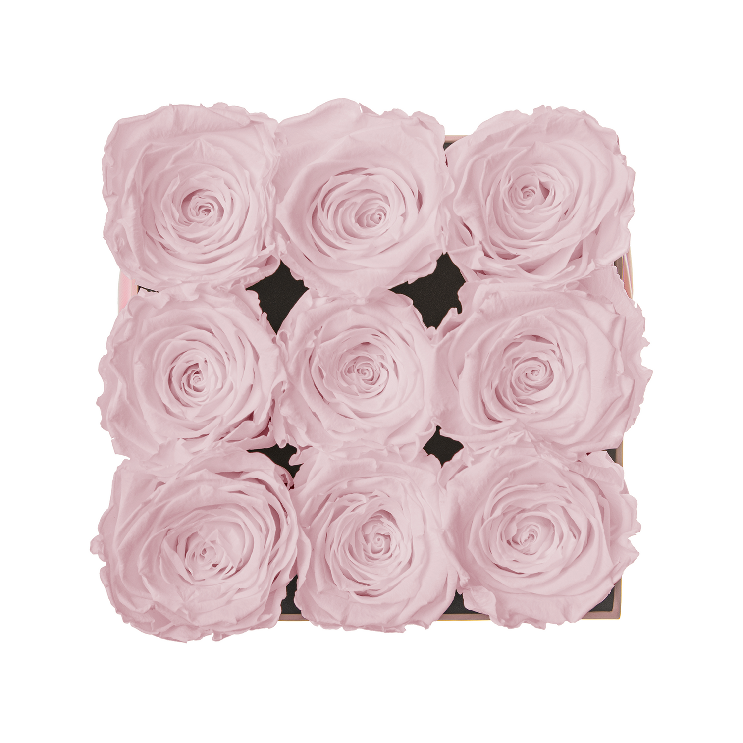 Square arrangement of pink roses on a white background