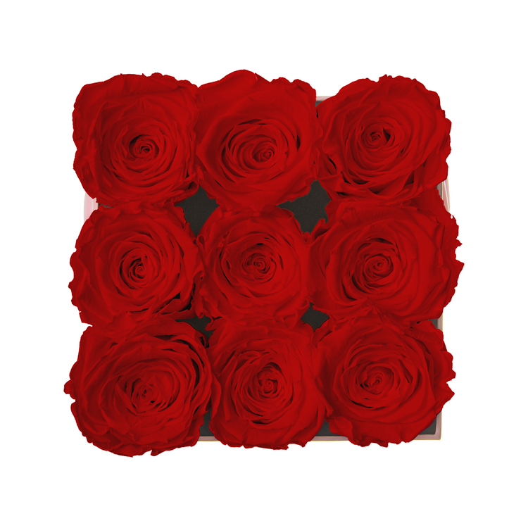 Nine red roses arranged in a square pattern inside a clear box on a white background